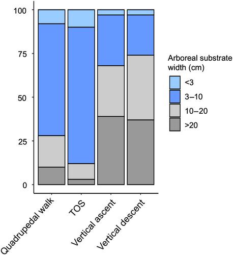 Sex differences in positional behavior of chimpanzees (Pan troglodytes schweinfurthii) living in the dry and open habitat of Issa Valley, Tanzania