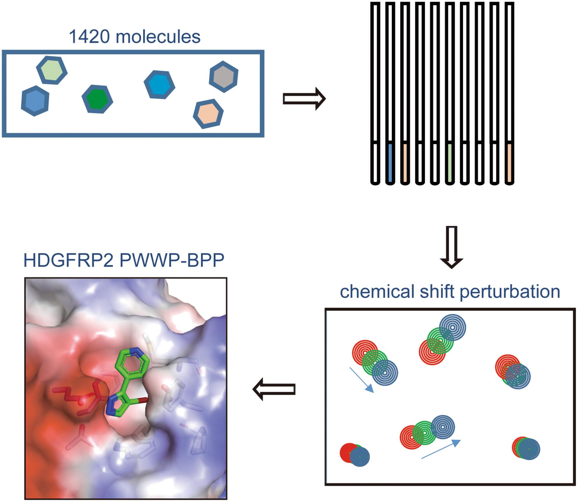 Fragment-based discovery of small molecule inhibitors of the HDGFRP2 PWWP domain