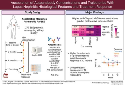 Association of Autoantibody Concentrations and Trajectories With Lupus Nephritis Histologic Features and Treatment Response