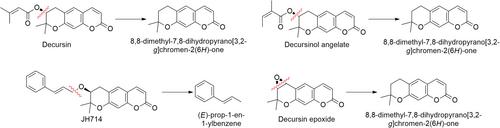 Anticancer potential of decursin, decursinol angelate, and decursinol from Angelica gigas Nakai: A comprehensive review and future therapeutic prospects