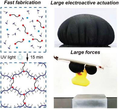 Dielectric Elastomer Network with Large Side Groups Achieves Large Electroactive Deformation for Soft Robotic Grippers