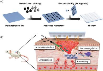 Electrical Stimulating Redox Membrane Incorporated with PVA/Gelatin Nanofiber for Diabetic Wound Healing