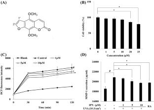 Isopimpinellin inhibits UVA-induced overproduction of MMPs via suppression of MAPK/AP-1 signaling in human dermal fibroblasts