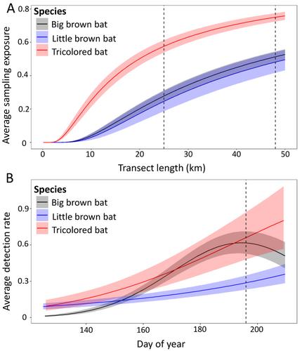 Using mobile acoustic monitoring and false-positive N-mixture models to estimate bat abundance and population trends