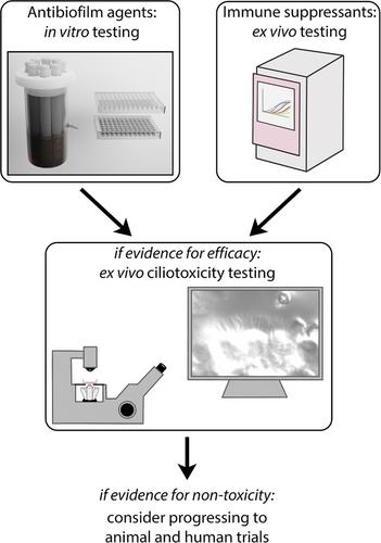 A methodological pipeline for the preclinical evaluation of novel topical agents for the treatment of CRS