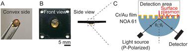 Polymeric grating prism-based dual-mode miniature surface plasmon resonance sensor chip†