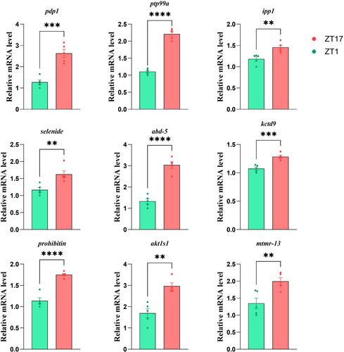 Genome-wide identification of PAR domain protein 1 (PDP1) targets through ChIP-seq reveals the regulation of diapause-specific characteristics in Culex pipiens