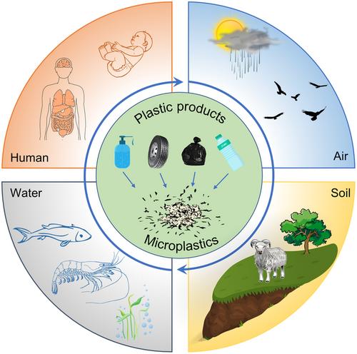 Advanced Optical Imaging Technologies for Microplastics Identification: Progress and Challenges