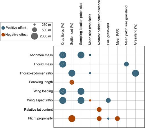 Landscape effects on dispersal-related traits in a sedentary butterfly in agricultural landscapes