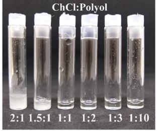 Thermoplastic Chitosan Plasticized with Deep Eutectic Solvent Derived from Gamma-valerolactone