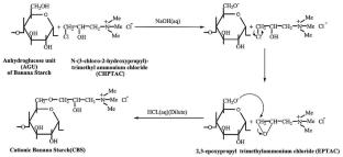 Waste-to-Value-Added Customized Cationic Banana Starch for Potential Flocculant Application