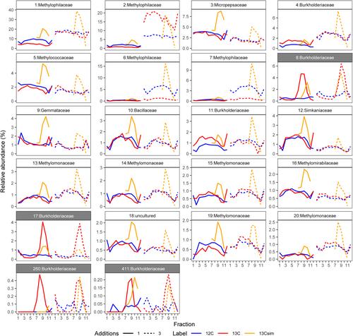 Identification of Aerobic ETBE-Degrading Microorganisms in Groundwater Using Stable Isotope Probing