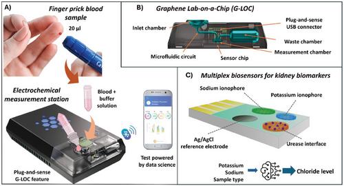 Transforming Renal Diagnosis: Graphene-Enhanced Lab-On-a-Chip for Multiplexed Kidney Biomarker Detection in Capillary Blood