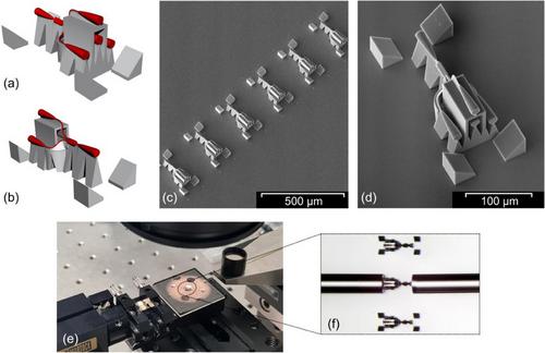 Ultracompact 3D Splitter for Single-Core to Multi-Core Optical Fiber Connections Fabricated Through Direct Laser Writing in Polymer