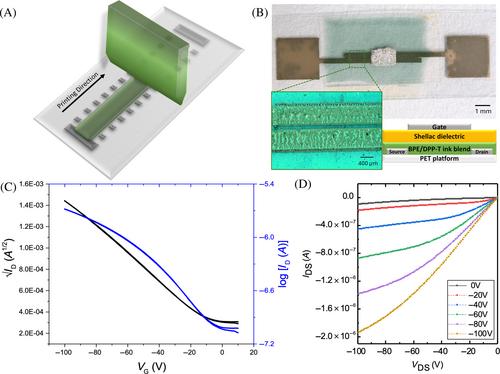 Printing organic-field effect transistors from semiconducting polymers and branched polyethylene