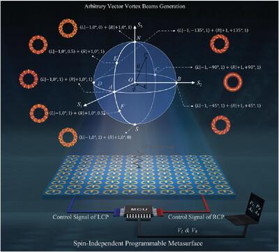 Generation of Arbitrarily Programmable Vector Vortex Beams Based on Spin-Independent Metasurface