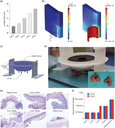 Optimized Magnetically Docked Ingestible Capsules for Non-Invasive Refilling of Implantable Devices