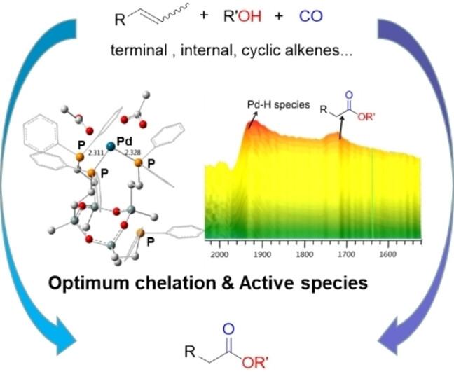 Multi-Dentate Phosphine Ligand Derived from Cyclotetrasiloxane and Its Application in Palladium-Catalyzed Alkoxycarbonylation of Alkenes