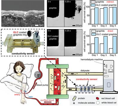 Highly Biocompatible Graphite Electrodes by Using Interface-Stable Coating and the Application to Hemodialysis