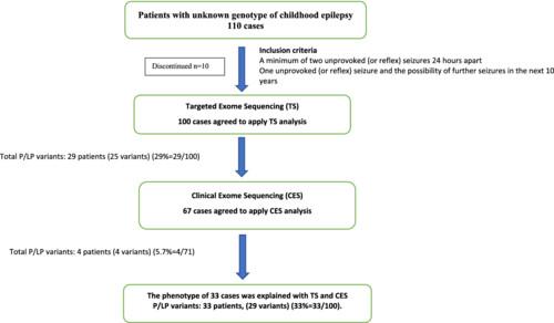 Investigation of patients with childhood epilepsy in single center: Comprehensive genetic testing experience