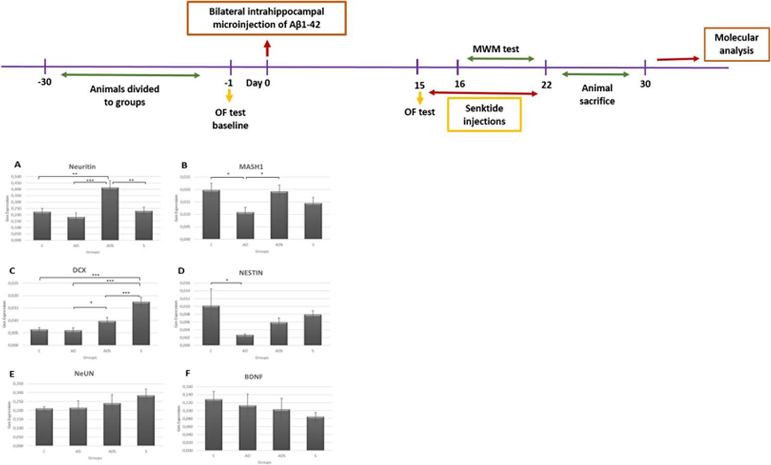 Are the promnestic effects of neurokinin 3 receptor mediated by hippocampal neurogenesis in a Aβ-induced rat model of Alzheimer's disease?