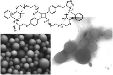 The Synthesis and Assembly of Mikto 8-Shaped Cyclic Diblock Polymers