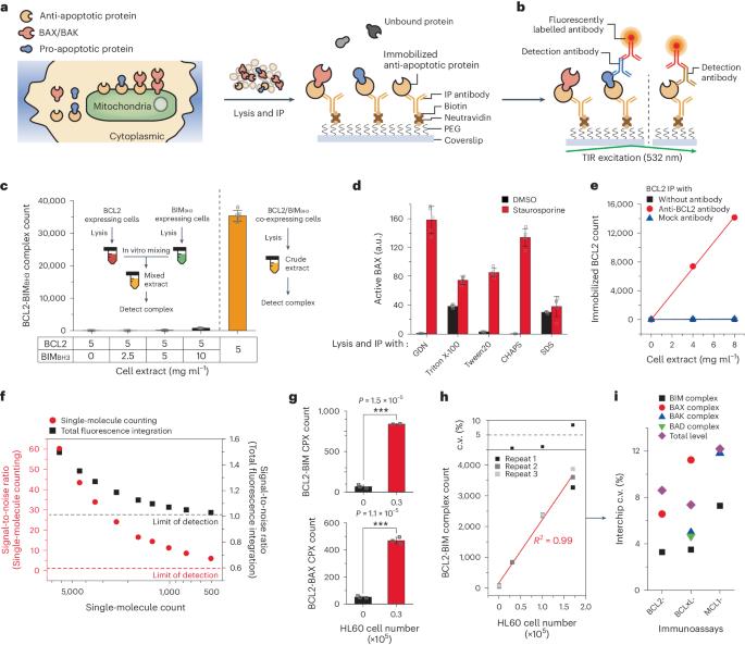 Profiling protein–protein interactions to predict the efficacy of B-cell-lymphoma-2-homology-3 mimetics for acute myeloid leukaemia