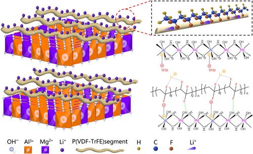 Composite electrolyte with self-inserted structure and all-trans F conformation provides fast Li+ transport for solid-state Li metal batteries