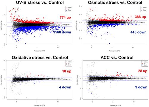 Functional stress responses in Glaucophyta: Evidence of ethylene and abscisic acid functions in Cyanophora paradoxa