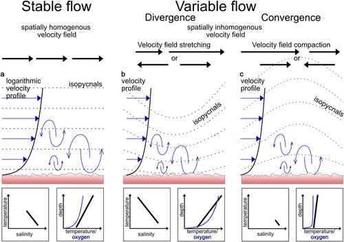 Hidden seafloor hypoxia in coastal waters