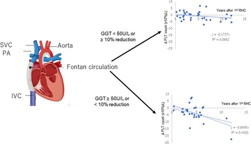 Importance of gamma-glutamyl transferase elevation in patients with Fontan-associated liver disease