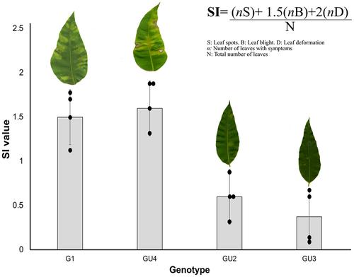 First line of defence: Eucalyptus leaf waxes influence infection by an aggressive fungal leaf pathogen