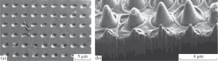 The Obtaining of Regular Metal and Dielectric Microstructures Based on Irradiation–Modified Polymer Films