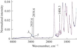 Influence of Irradiation with Accelerated Electrons on the Physical Properties of Polyethylene Terephthalate