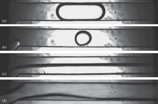 Map of Water–Oil Flow Regimes in a Direct Microchannel