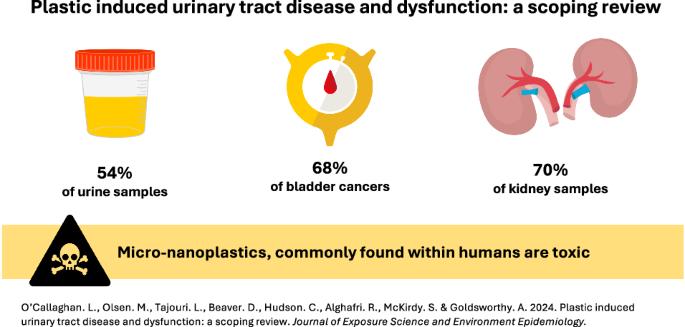 Plastic induced urinary tract disease and dysfunction: a scoping review