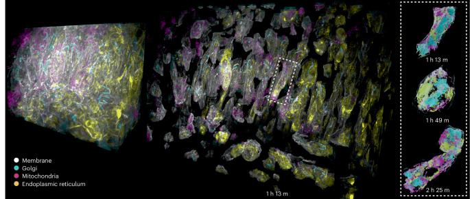 Abstract Image