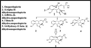 Biotransformation of natural compounds to create useful medicinal products