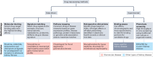 Drug repurposing for glomerular diseases: an underutilized resource