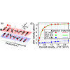 Predicted multiple Walker breakdowns for current-driven domain wall motion in antiferromagnets