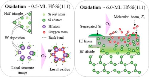 Coverage Dependence upon Early Oxidation Stages of Hafnium-Adsorbed Si(111)-7 × 7