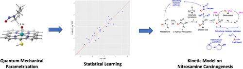 A Kinetic Model for Assessing Potential Nitrosamine Carcinogenicity.