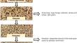 Wheat debranning: effects on mycotoxins, phenolic content, and antioxidant activity.