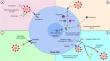 Prospects of Innovative Therapeutics in Combating the COVID-19 Pandemic.