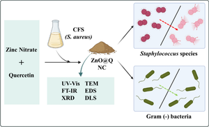 Bioconjugated zinc oxide–quercetin nanocomposite enhances the selectivity and anti-biofilm activity of ZnO nanoparticles against Staphylococcus species