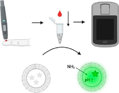 Development of a Polymersome Blood Ammonia Assay Coupled with a Portable Near-Infrared Fluorometer