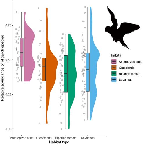 Diversity and dominance in bird assemblages across habitats in the Ñeembucú wetlands complex