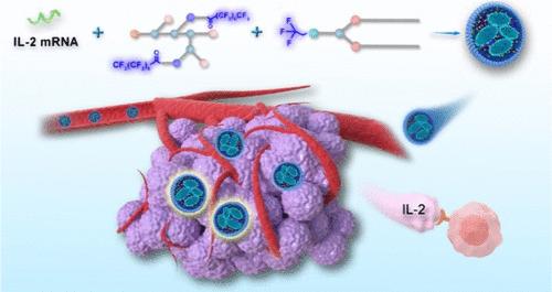 Fluorinated Polyethylenimine and Fluorinated Choline Phosphate Lipids Complex System for Efficient mRNA Delivery to Deep-Seated Tumor Tissues