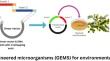 Monitoring and abatement of synthetic pollutants using engineered microbial systems