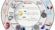 Advancing Biomedical Frontiers with Functionalized Soybean Oil: Insights into Tissue Engineering and Drug Delivery